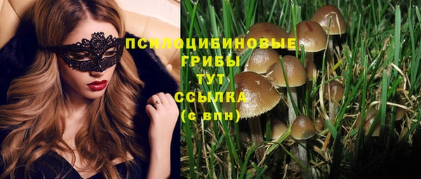 молекула духа Новодвинск