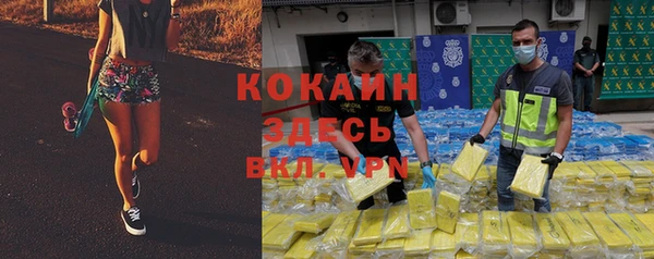 молекула духа Новодвинск