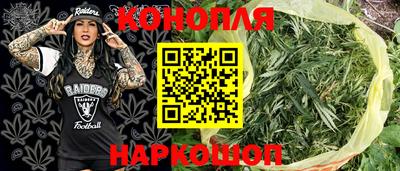 прущие грибы Моздок