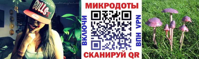 где найти   Химки  Галлюциногенные грибы Psilocybine cubensis 