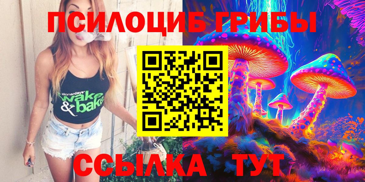 Химки  Галлюциногенные грибы Psilocybe  Вход с VPN 